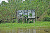 Abandoned House on the Rio Negro River, Brazil