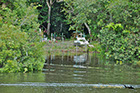 Cemetary Rio Negro River Brazil