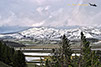 Lamar Valley Yellowstone National Park